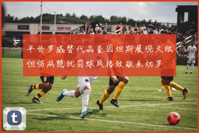 平价罗威替代品奎因坦斯展现天赋但伤病隐忧罚球风格致敬米切罗